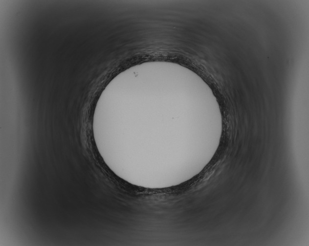 X0000099580769200805160745