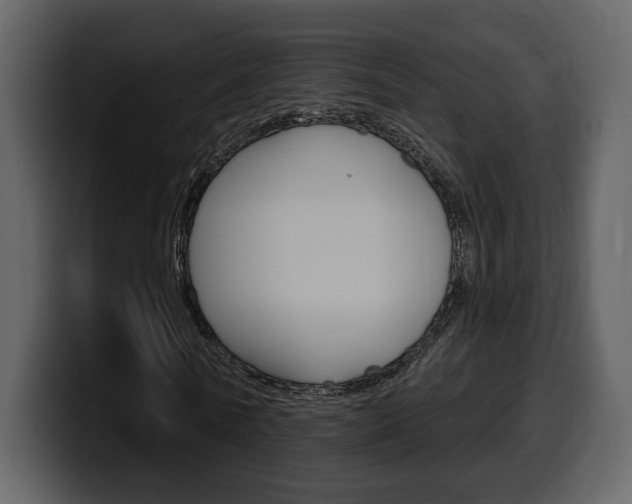 X0000099580770200805160745