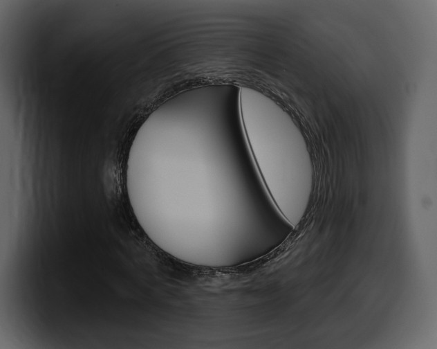 X0000099580772200805160745