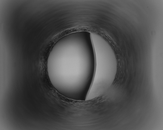 X0000099580773200805160745
