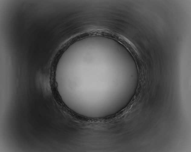 X0000099580775200805160745