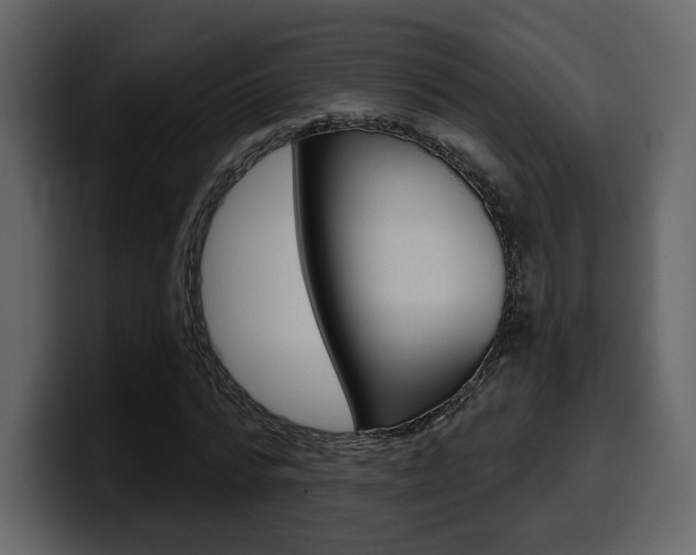 X0000099580776200805160745