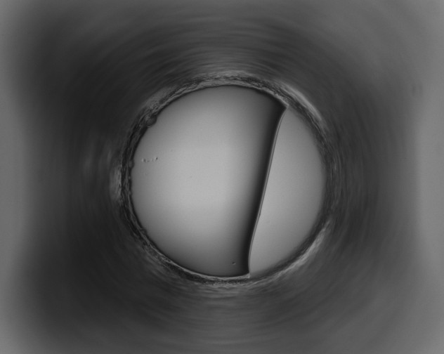 X0000099580777200805160745