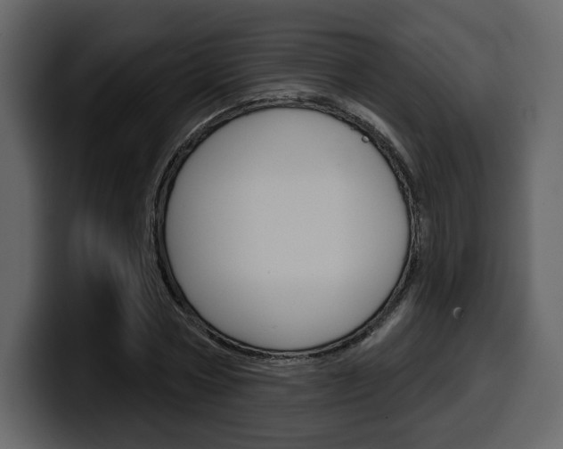 X0000099580778200805160745