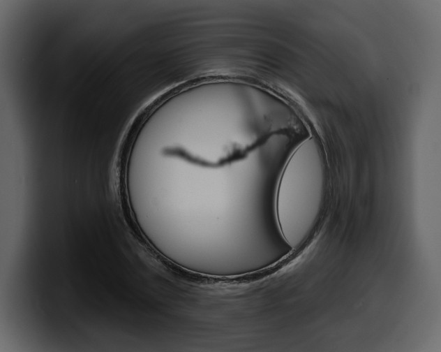 X0000099580779200805160745