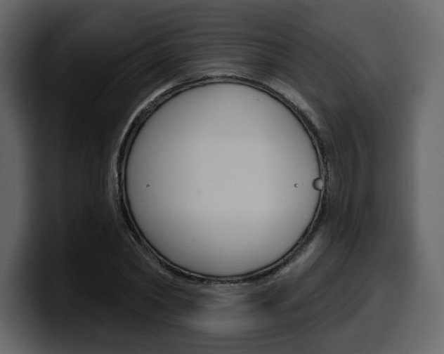 X0000099580782200805160745