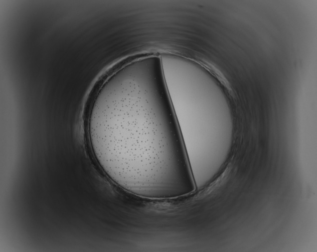 X0000099580784200805160745