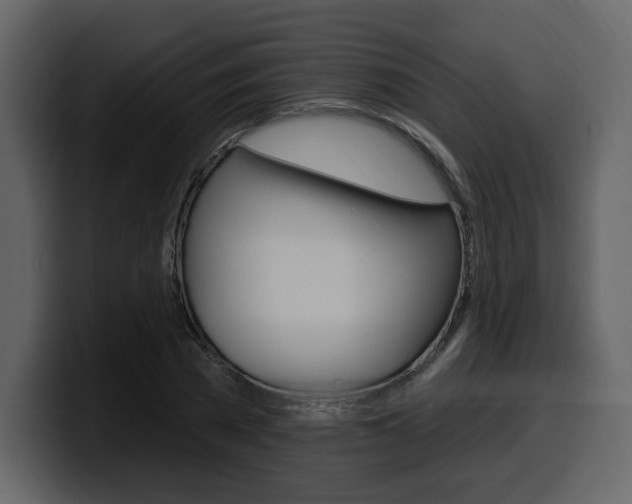 X0000099580785200805160745