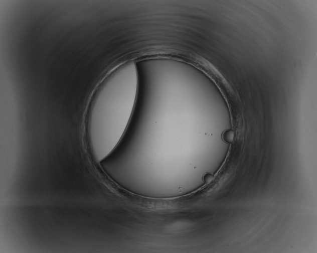 X0000099580786200805160745