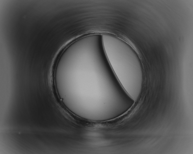 X0000099580787200805160745