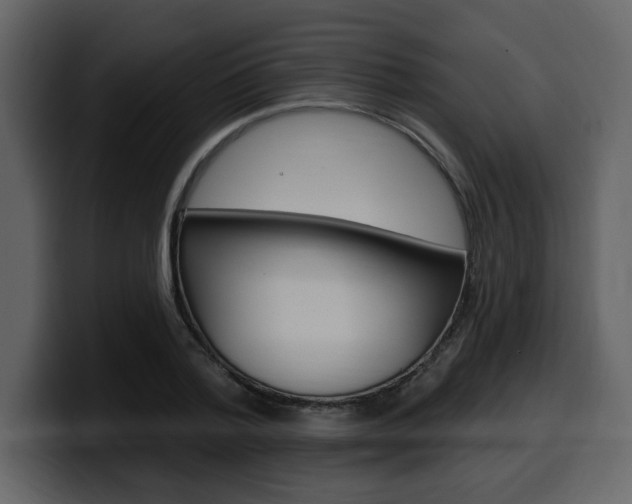 X0000099580788200805160745