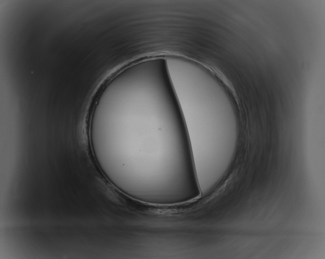X0000099580789200805160745