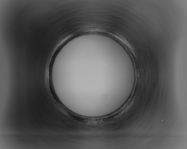 X0000099580790200805160745