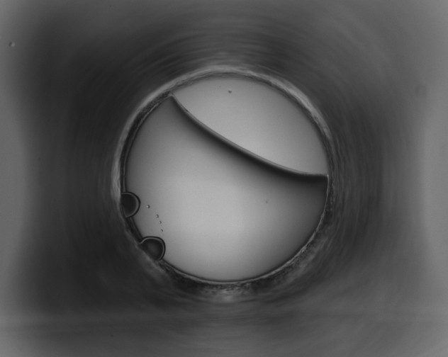 X0000099580791200805160745