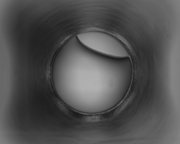 X0000099580793200805160745