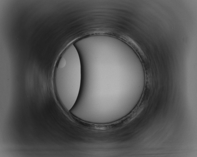 X0000099580794200805160745
