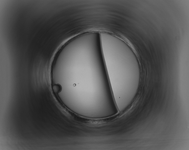 X0000099580795200805160745