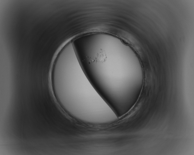 X0000099580796200805160745