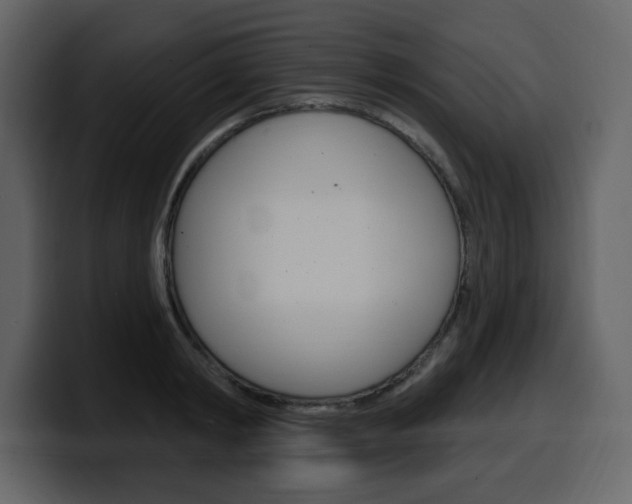 X0000099580798200805160745