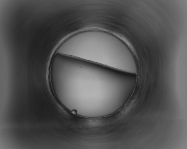 X0000099580799200805160745