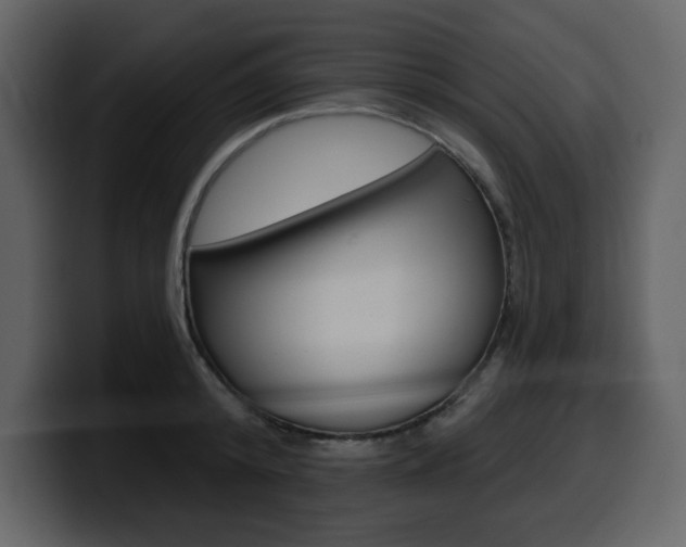 X0000099580800200805160745
