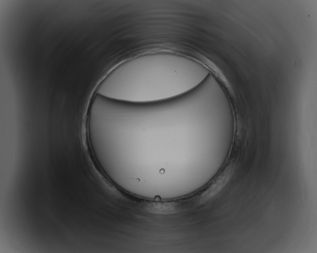 X0000099580802200805160745