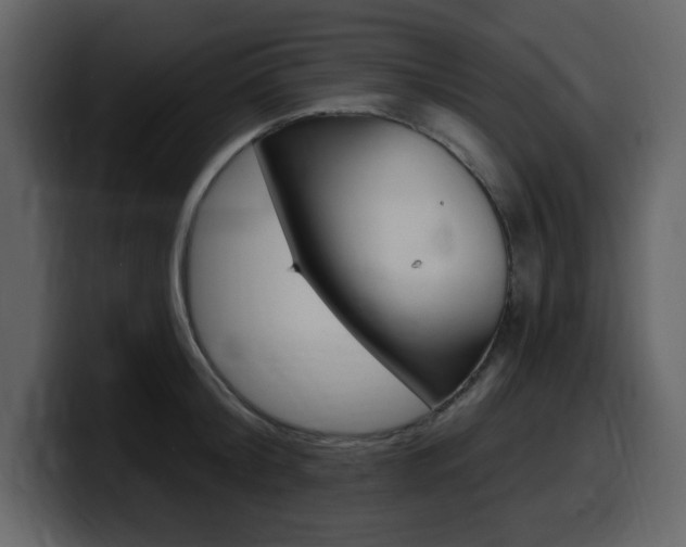 X0000099580804200805160745