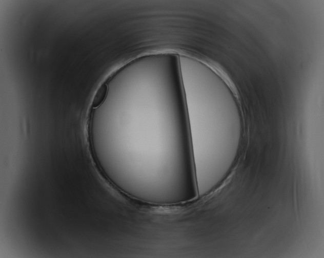 X0000099580805200805160745