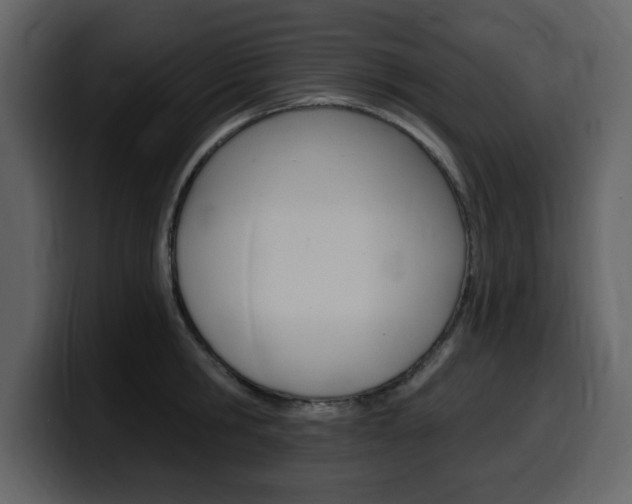 X0000099580806200805160745