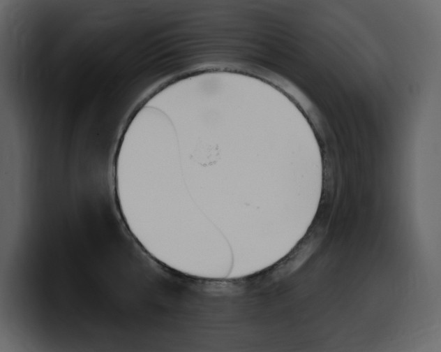 X0000099580807200805160745