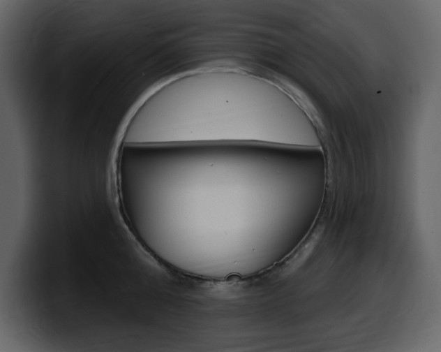 X0000099580808200805160745