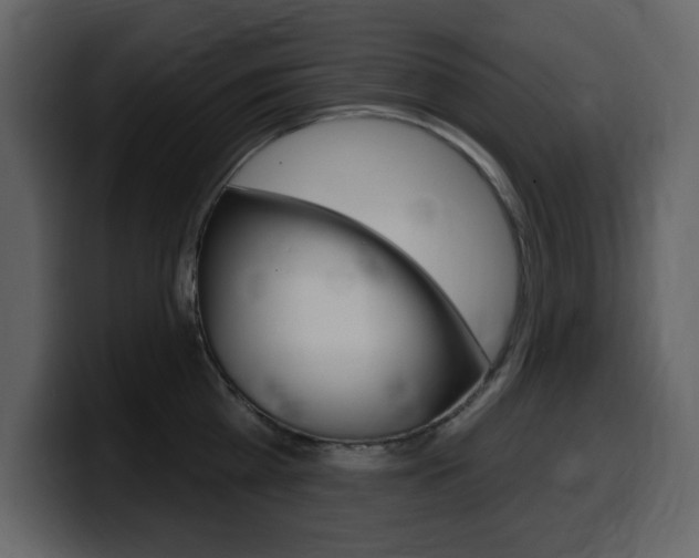 X0000099580809200805160745
