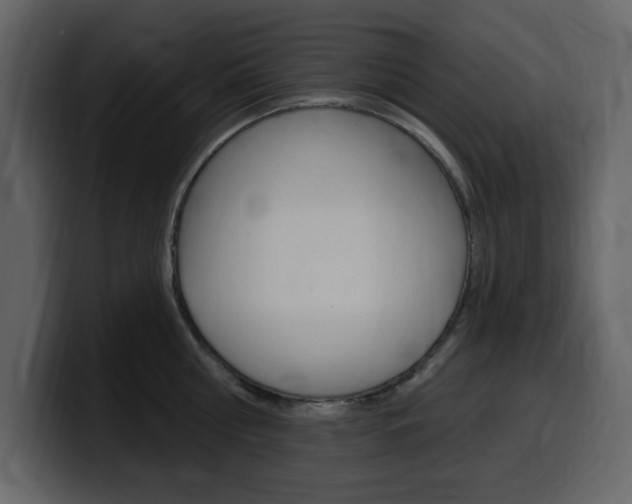 X0000099580810200805160745