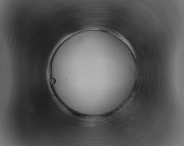 X0000099580811200805160745