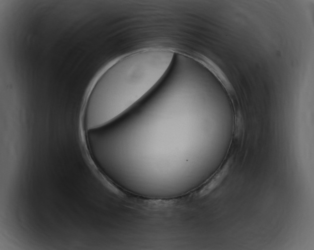 X0000099580812200805160745