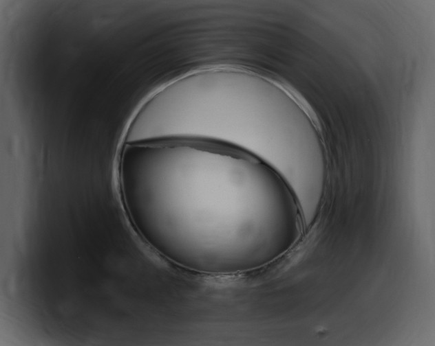 X0000099580813200805160745
