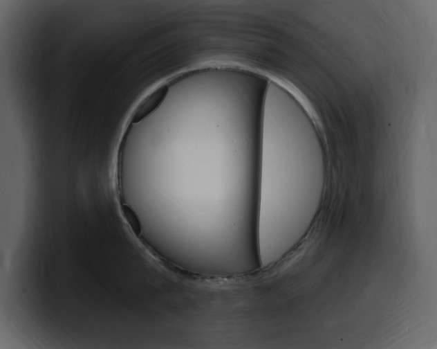 X0000099580815200805160745