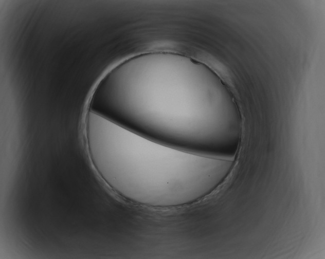 X0000099580816200805160745