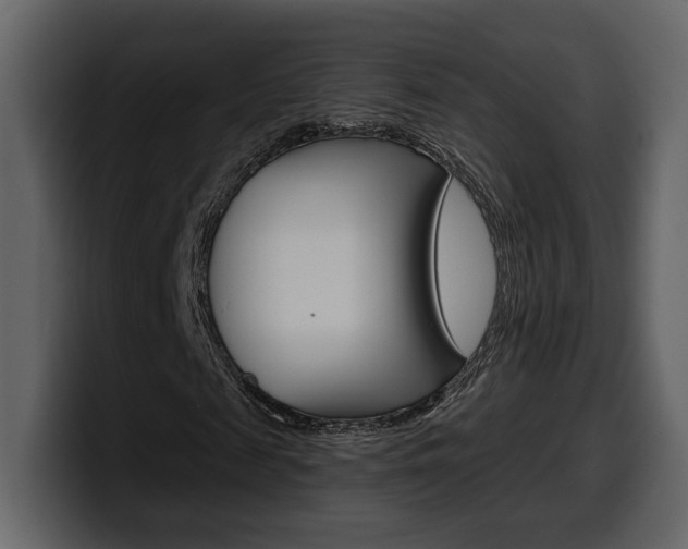 X0000099580817200805160744