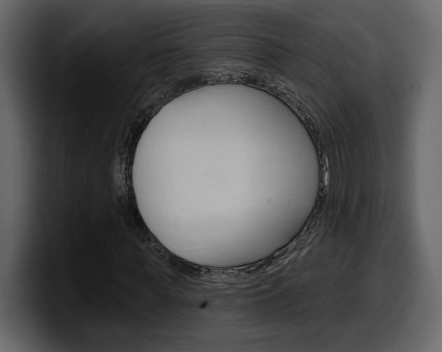X0000099580819200805160744