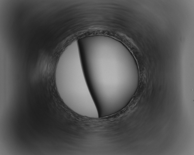 X0000099580821200805160744
