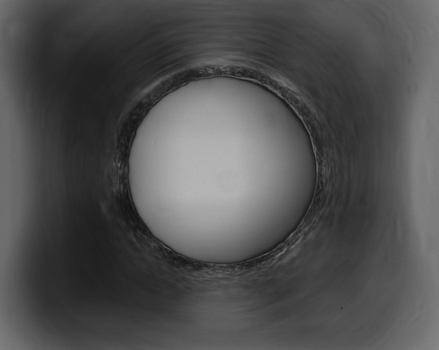 X0000099580822200805160744