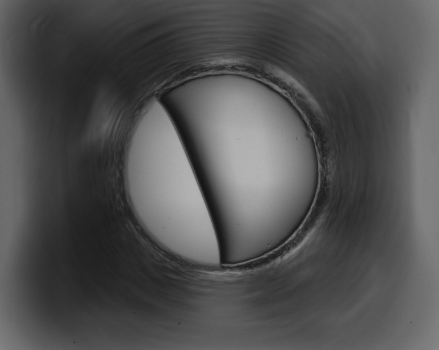 X0000099580825200805160744
