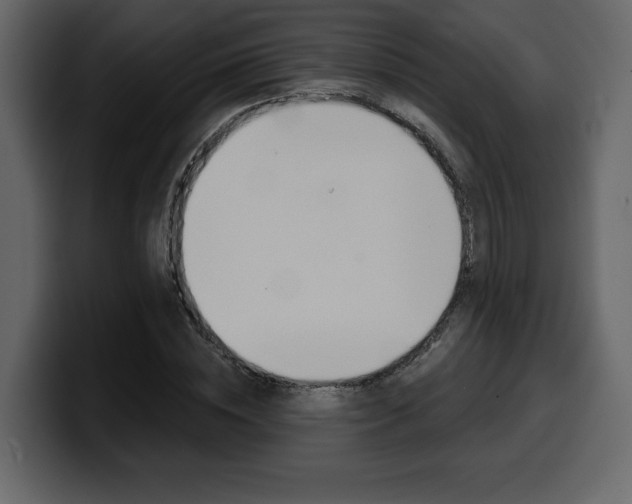 X0000099580828200805160744