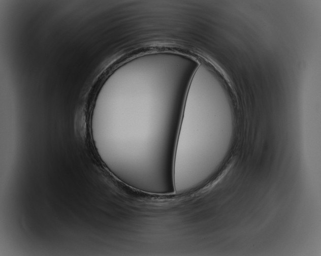 X0000099580829200805160744