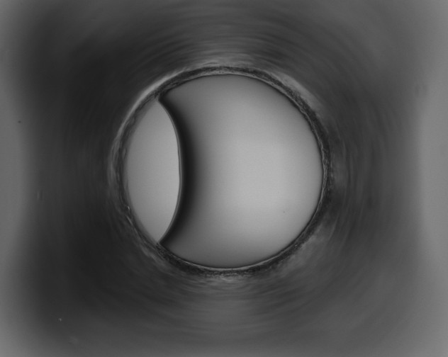 X0000099580830200805160744