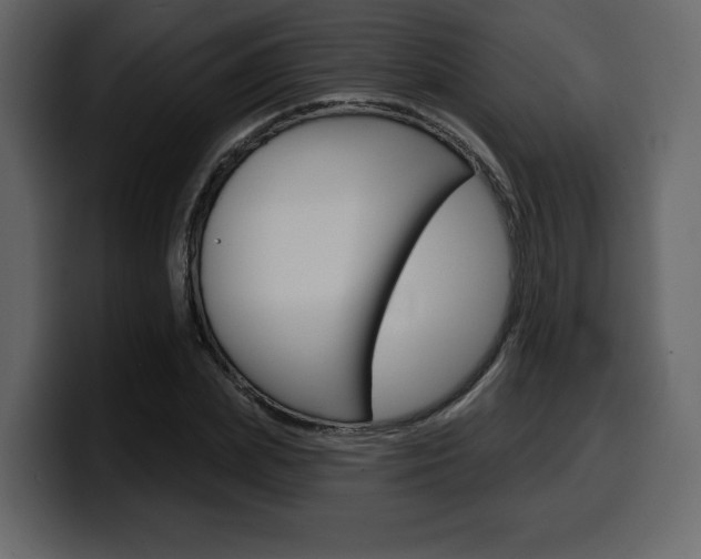 X0000099580831200805160744