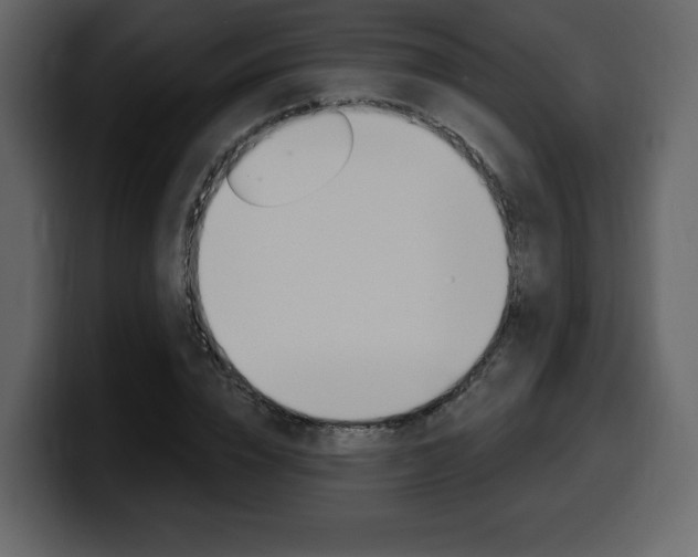 X0000099580832200805160744