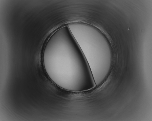 X0000099580834200805160744