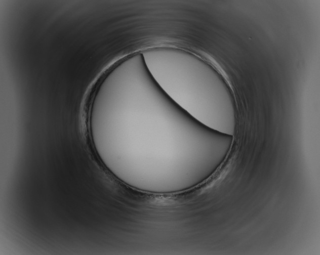 X0000099580835200805160744
